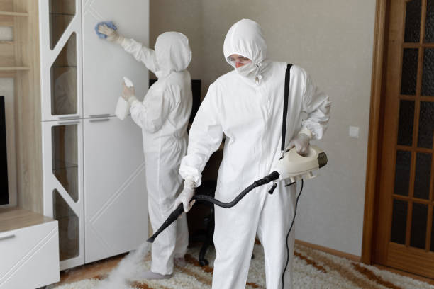 Professional Mold Removal in Stansbury Park, UT